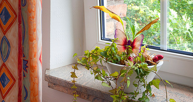 Liebevolles Detail an einem hellen Fenster