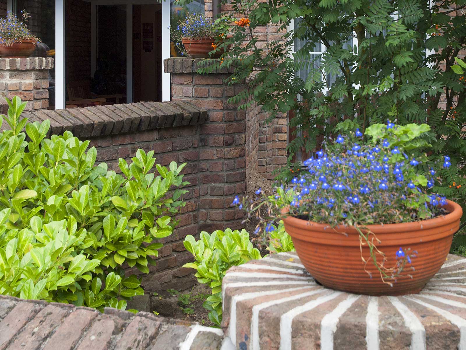 Gartenansicht auf dem Erftflora-Gelände