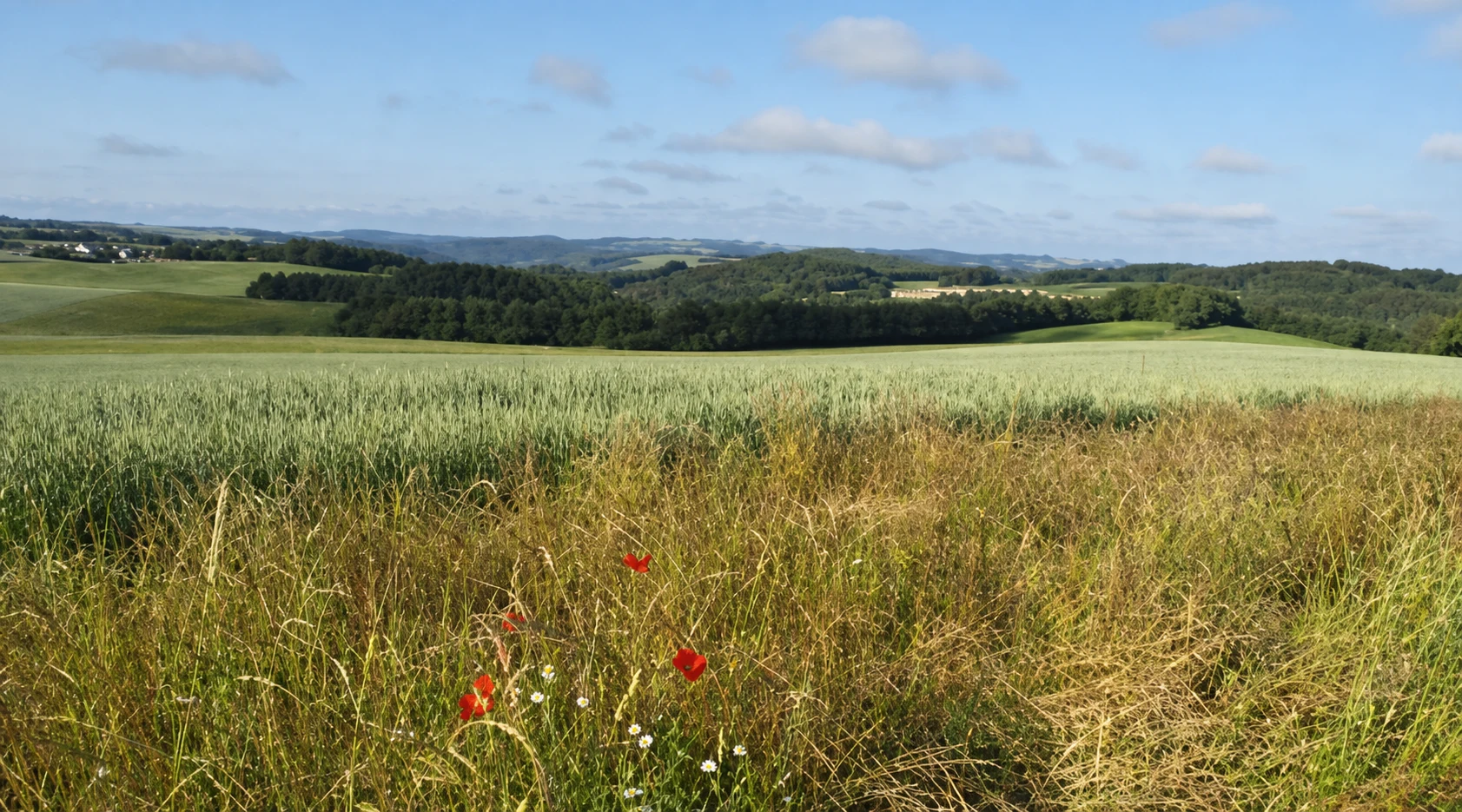 Blick in die Landschaft rund um Daleiden